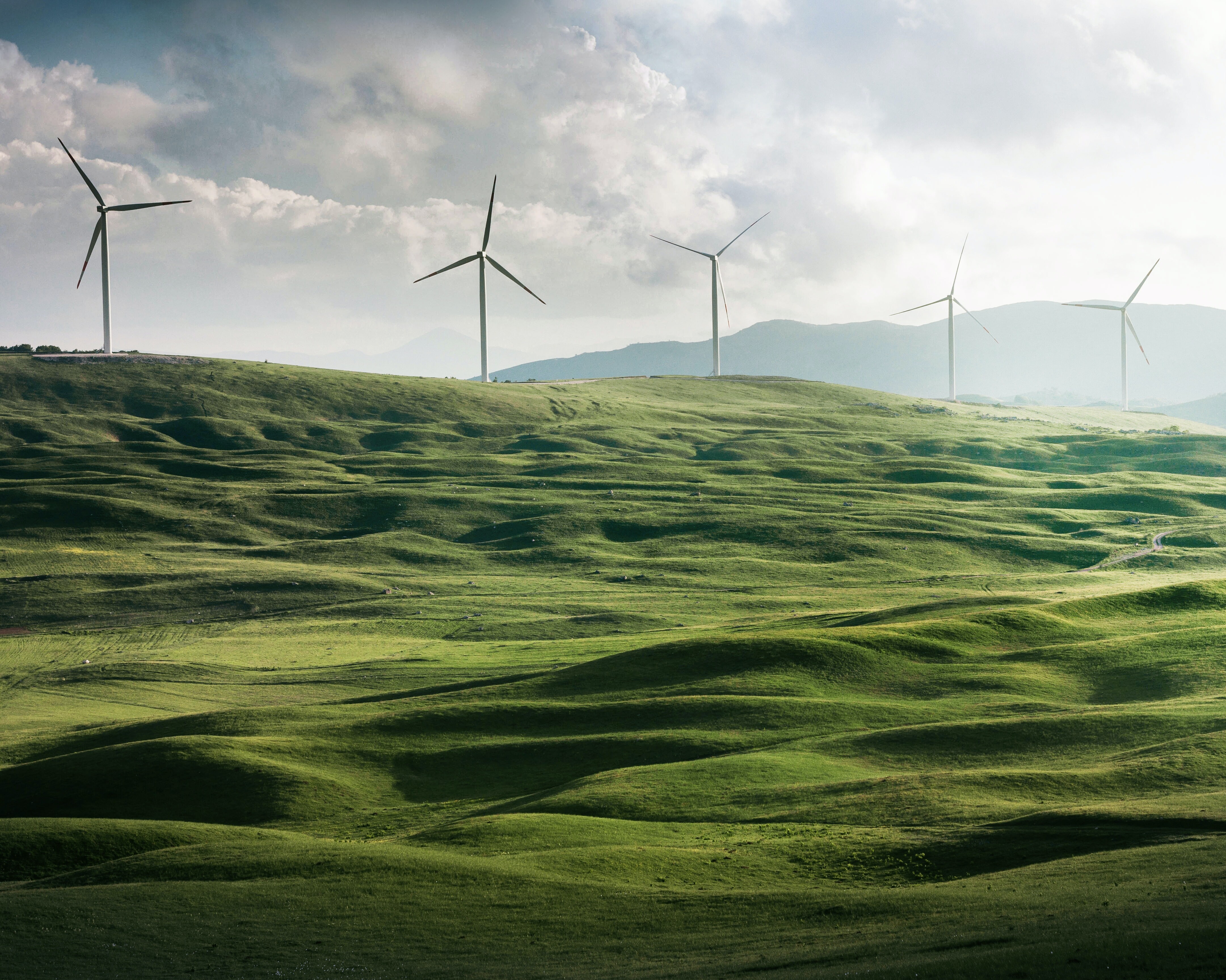 サステナビリティ・ヘッダー サステナビリティ・ヘッダー